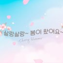 소나무비움한의원 이미지