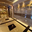 펫바라기 이미지