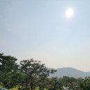 파인트리하우스 이미지