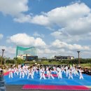 충효태권도(성성교육관) 이미지