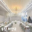하얀 | 동탄 소규모 돌잔치 장소 하얀곳 답사 및 계약후기 ｜ 짝꿍할인 가능