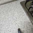 시화주공1단지 이미지