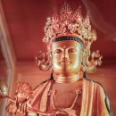 심상 36회 사진전 &#34;붓다 BUDDHA&#34;