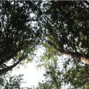 상관면행정복지센터 이미지