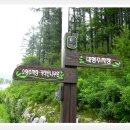충북알프스자연휴양림 이미지