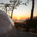 코지네이쳐 이미지