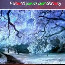 Fad-Wipe in out Gallaery 이미지