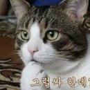 서양 사람들 이름 중에 Junior/Senior가 붙는 이름이 생긴 유래.txt 이미지