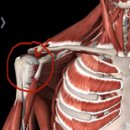 벤치타임 이미지