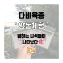 얍하는 녀석들의 다비육종 돼지 목장 체험기 (2019.07.01-05)