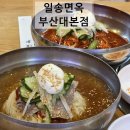 일송면옥 | 금정구 부곡동 백년가게 맛집, 일송면옥 밀면 비빔밀면 찐만두까지 먹은 솔직 후기!
