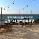 641 | 제주도가족여행 추천코스! 제주 서쪽 바다 보며 즐기는 금등641 셀프바베큐 후기