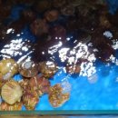 진희회집 이미지