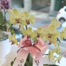 승진농장2 이미지