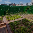 광진노인보호센터 이미지