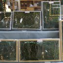 산삼주제관 이미지