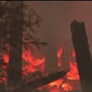 거제-거제-거제-비상-30 이미지