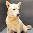 흥전4리마을회관 이미지