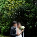 일월스냅 | 제주스냅 (제주 야외 웨딩스냅) 가담항설스냅 후기