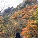 용소약수터 이미지