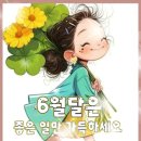 토마토 즙을 만들려고 합니다 이미지