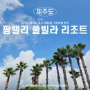 팜밸리리조트 | 제주도 서귀포 숙소 3박4일 가족여행 후기｜팜밸리 풀빌라 리조트 내돈내산 리뷰