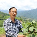 예인농장 이미지