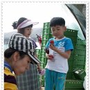 북곡 Daum카페