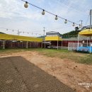 그루비독 이미지