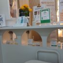 리온 메디 이미지