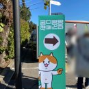 김가네부식 | 팡팡 캣페스타 서울 세텍(SETEC) 후기(feat. 가격비교 꿀팁과 구매 후기, 그리고 택시 저렴하게 이용...