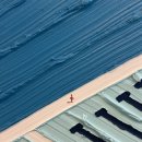 거북이의 꿈 이미지