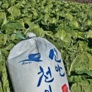 흥해젓갈