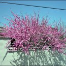 호텔한밤 이미지