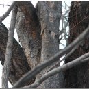 대흥민속 이미지