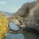 영산사우나 | 경남 2월 ~ 3월 축제 가볼만한 곳 영산 3.1민속문화제 주변구경 할 것들