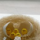 심정병원 이미지