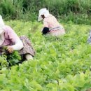 개간지천 이미지