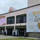 수정초등학교 | 부산 실내데이트 키크니 일러바치기 전시회 관람 후기 및 주차 꿀팁