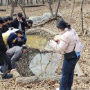 국립대전숲체원 이미지