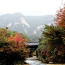 공림사