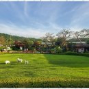 용문가든 이미지