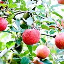 장수신농영농조합법인 이미지