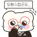 똥개애견 이미지