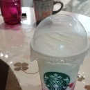 별다방 | 스타벅스 딜리버리 후기｜별다방 바닐라라떼·티라미슈롤케이크·요거트딜라이트 추천 + 버섯버터볶음