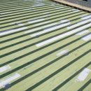 마산고려도장 이미지