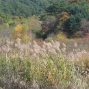 스위스샬레 이미지