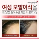 나비헤어라인