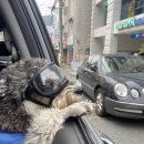 보석청사우나 이미지