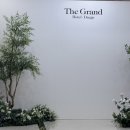 남대구홈플러스모두투어 | Wedding-2 웨딩홀투어 대구 예식장(수성호텔/그랜드호텔/마리드메이-최종계약⭐️)